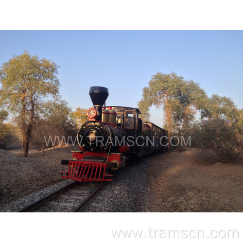 Attractive Outdoor Electric Track Trains